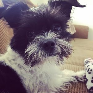 Meet your Posher, Wendy